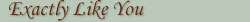 Exactly Like You